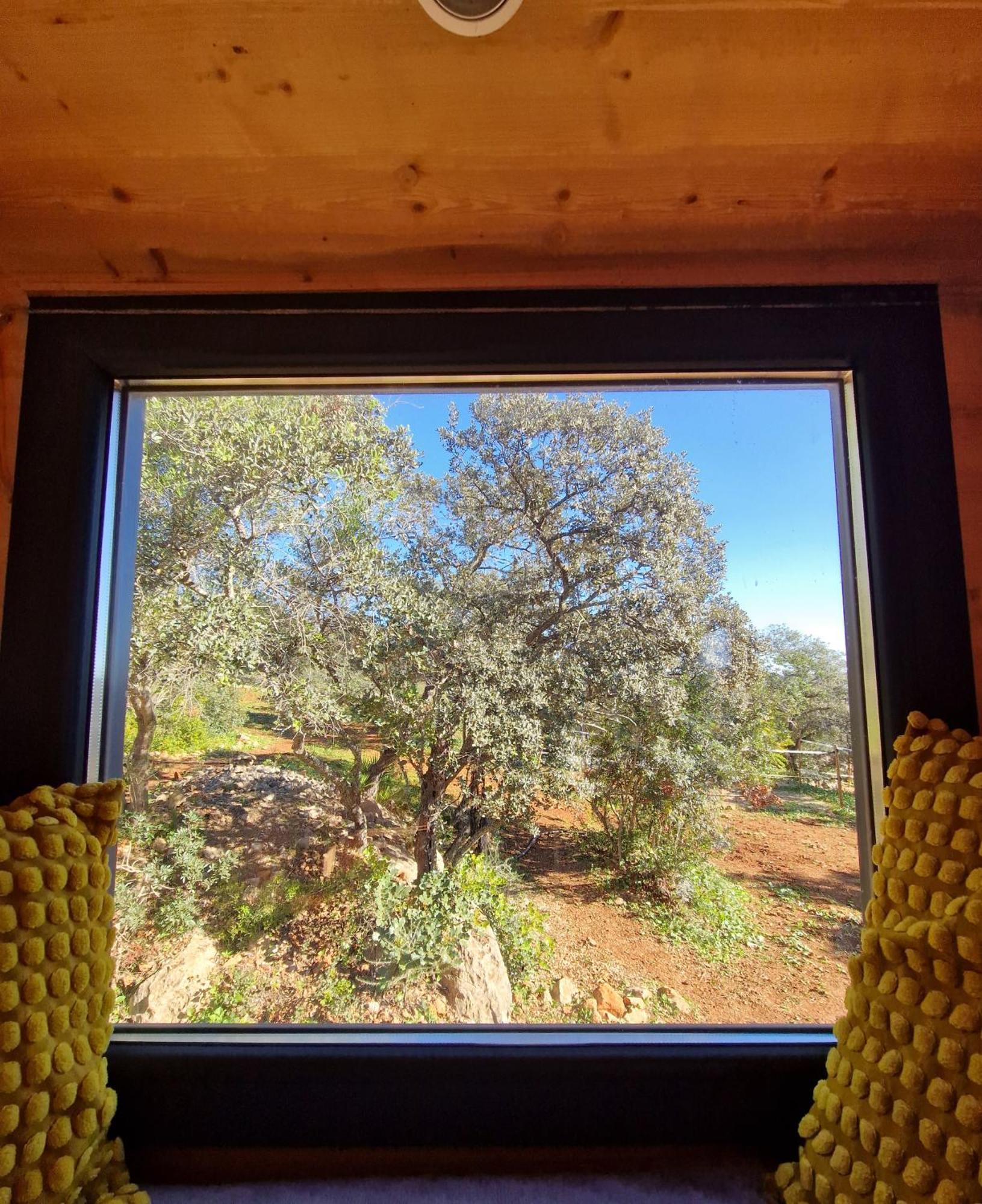 Tiny House Algarve *